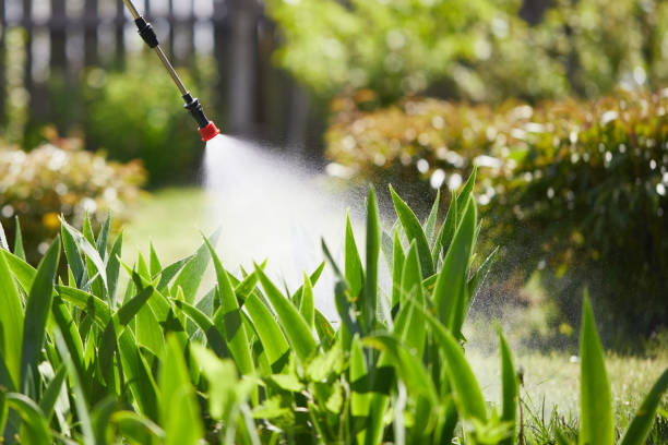 Tamper-Resistant Bait Stations for Rodents in Ninety Six