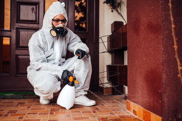Attic and Crawl Space Rodent Treatment in Ninety Six