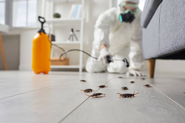 Commercial Rodent Management in Ninety Six